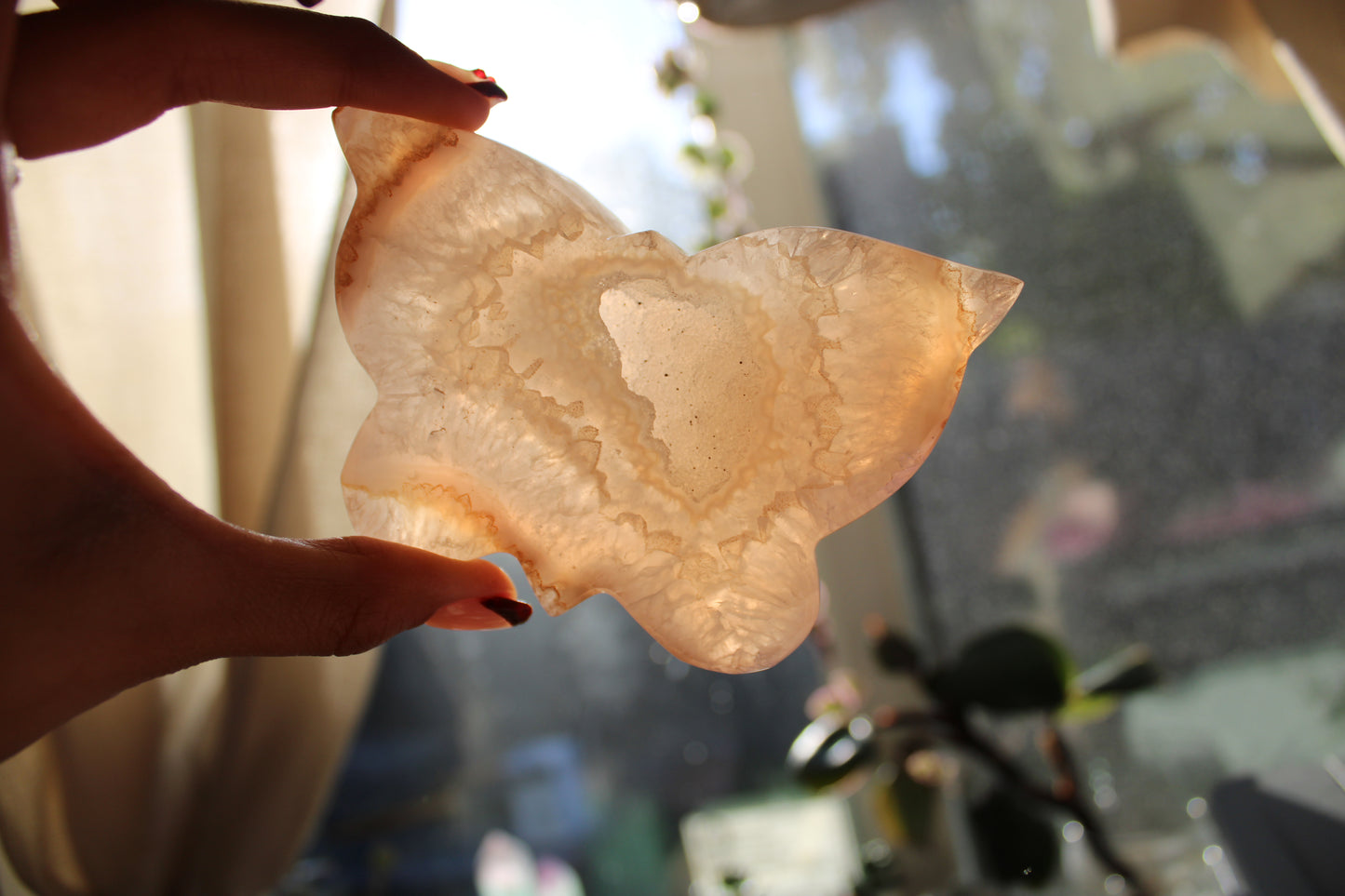 Drusy Agate Butterfly