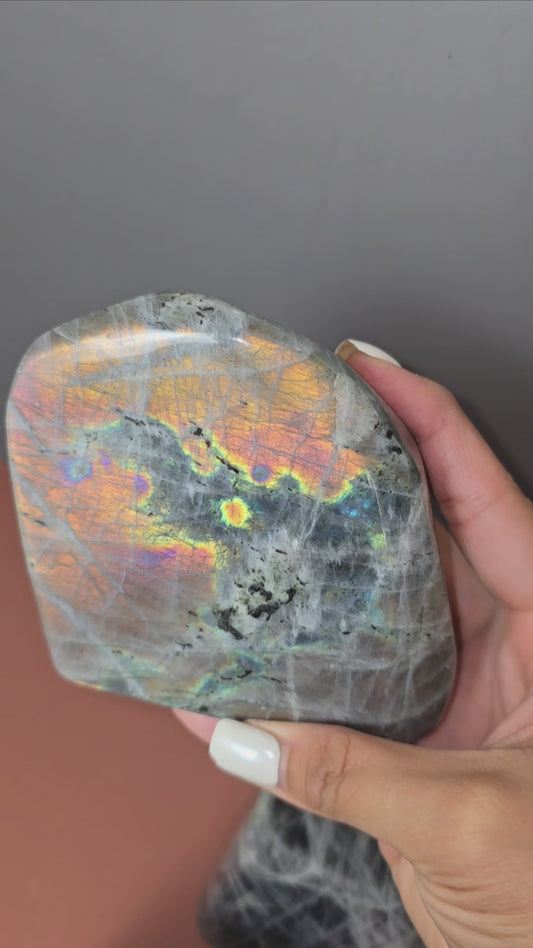 Labradorite - Freeform - L2