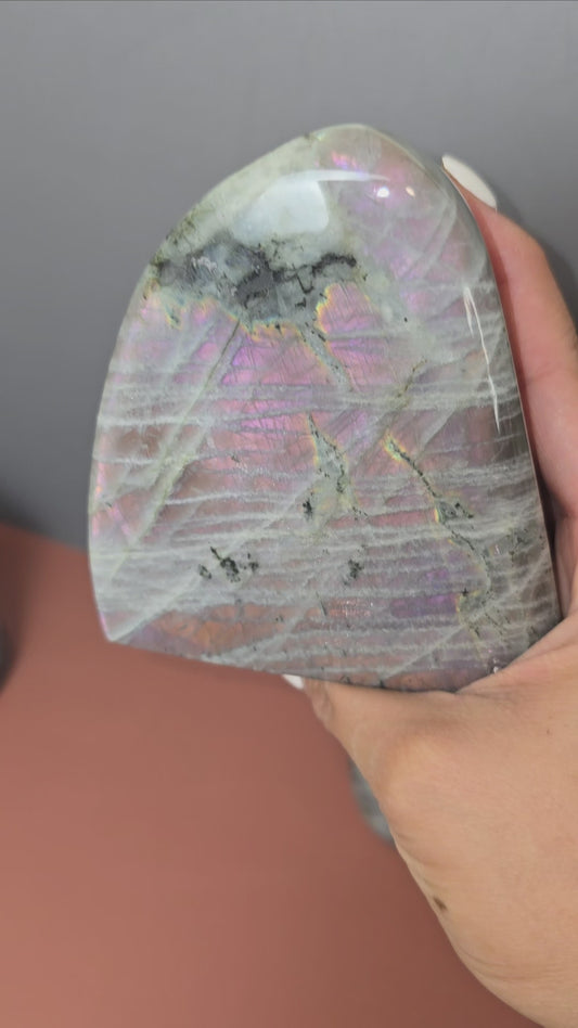Labradorite - Freeform - L1