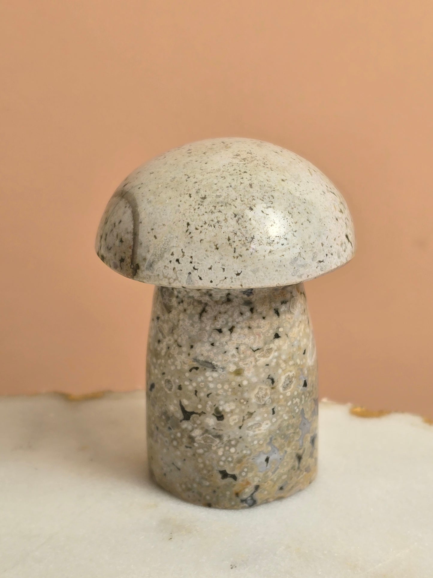 Ocean Jasper - Mushroom Carving - OJ02